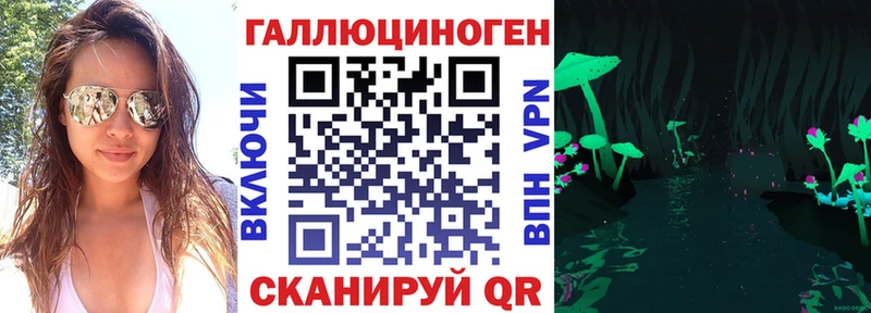 наркотики Кочубеевское Галлюциногенные грибы Cubensis